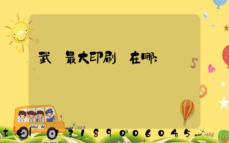 武漢最大印刷廠在哪